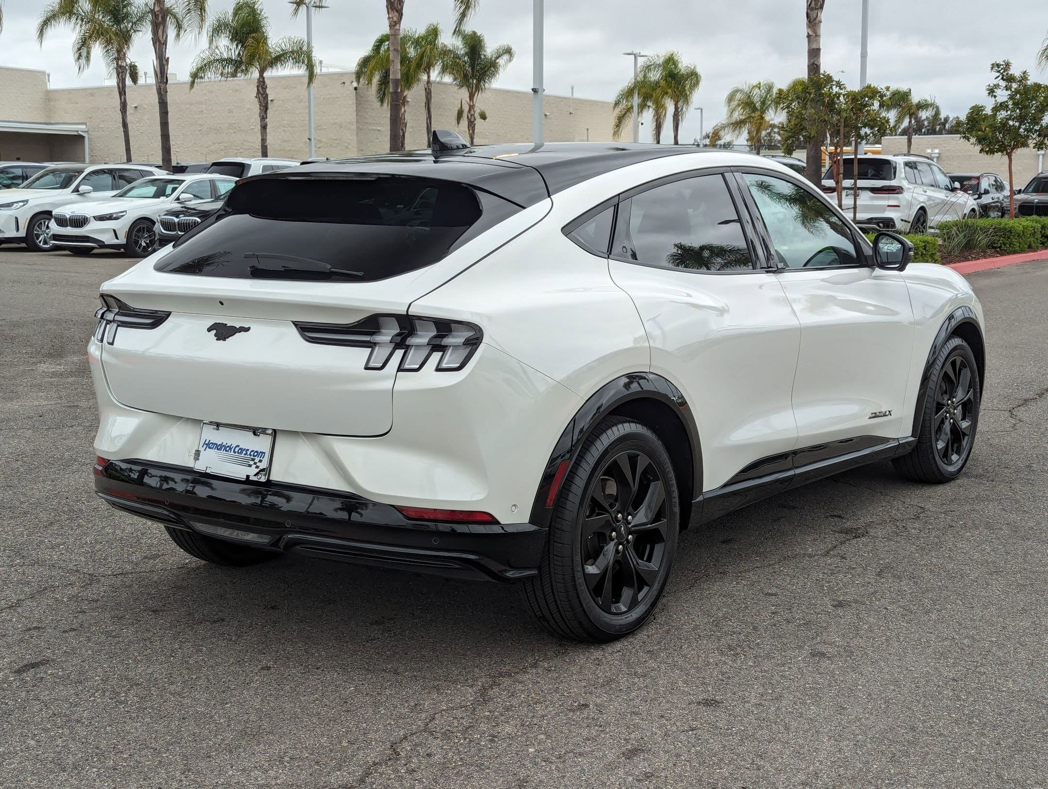 Vehicle photo 8