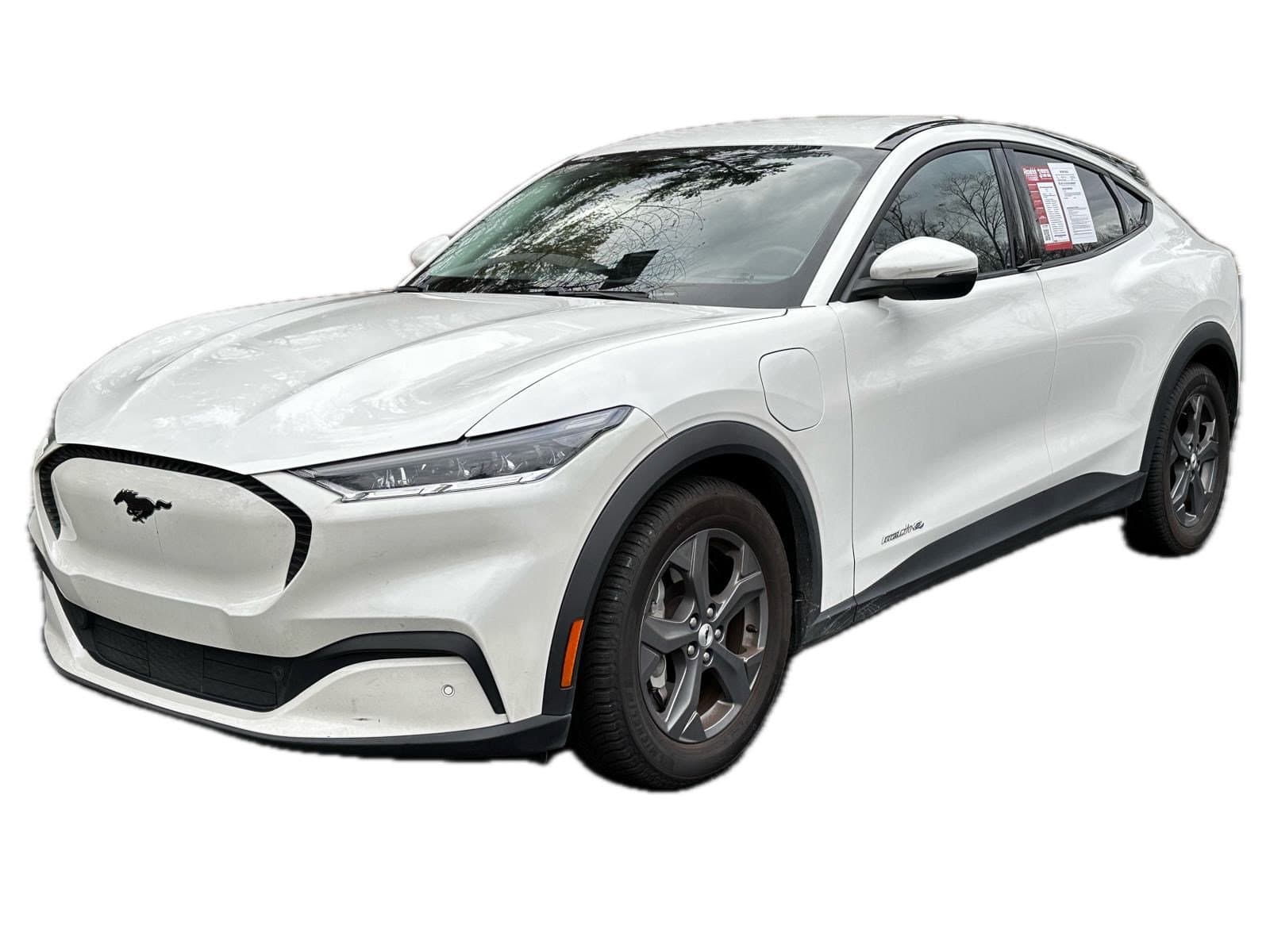 Vehicle photo 2