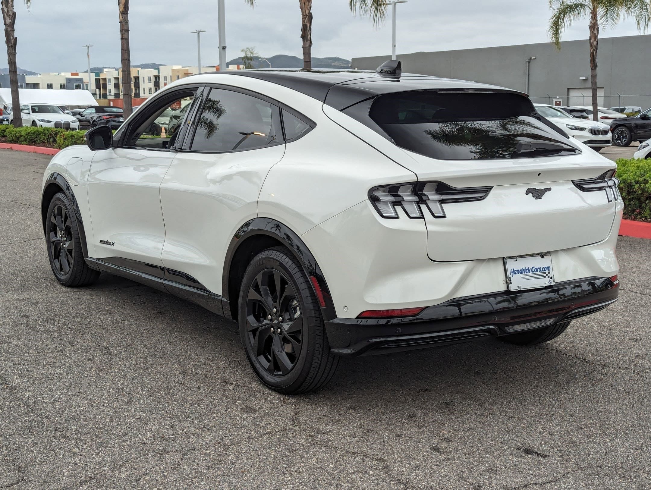 Vehicle photo 6