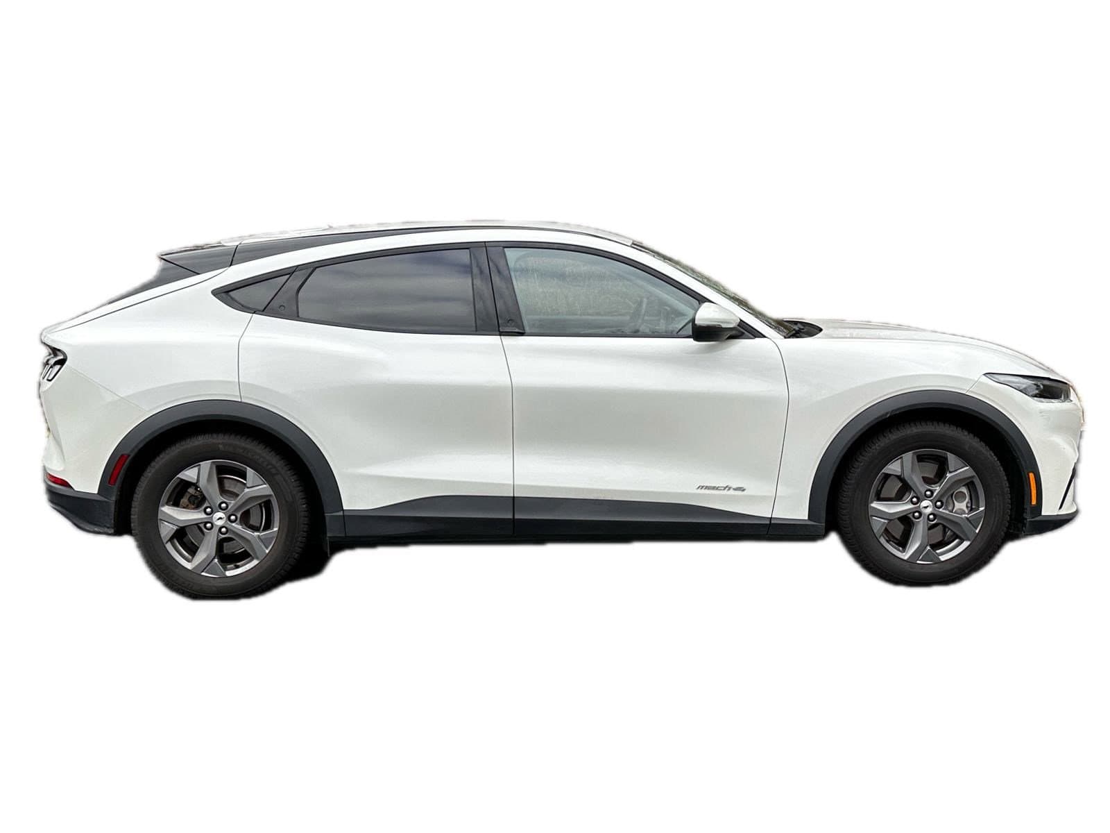 Vehicle photo 7