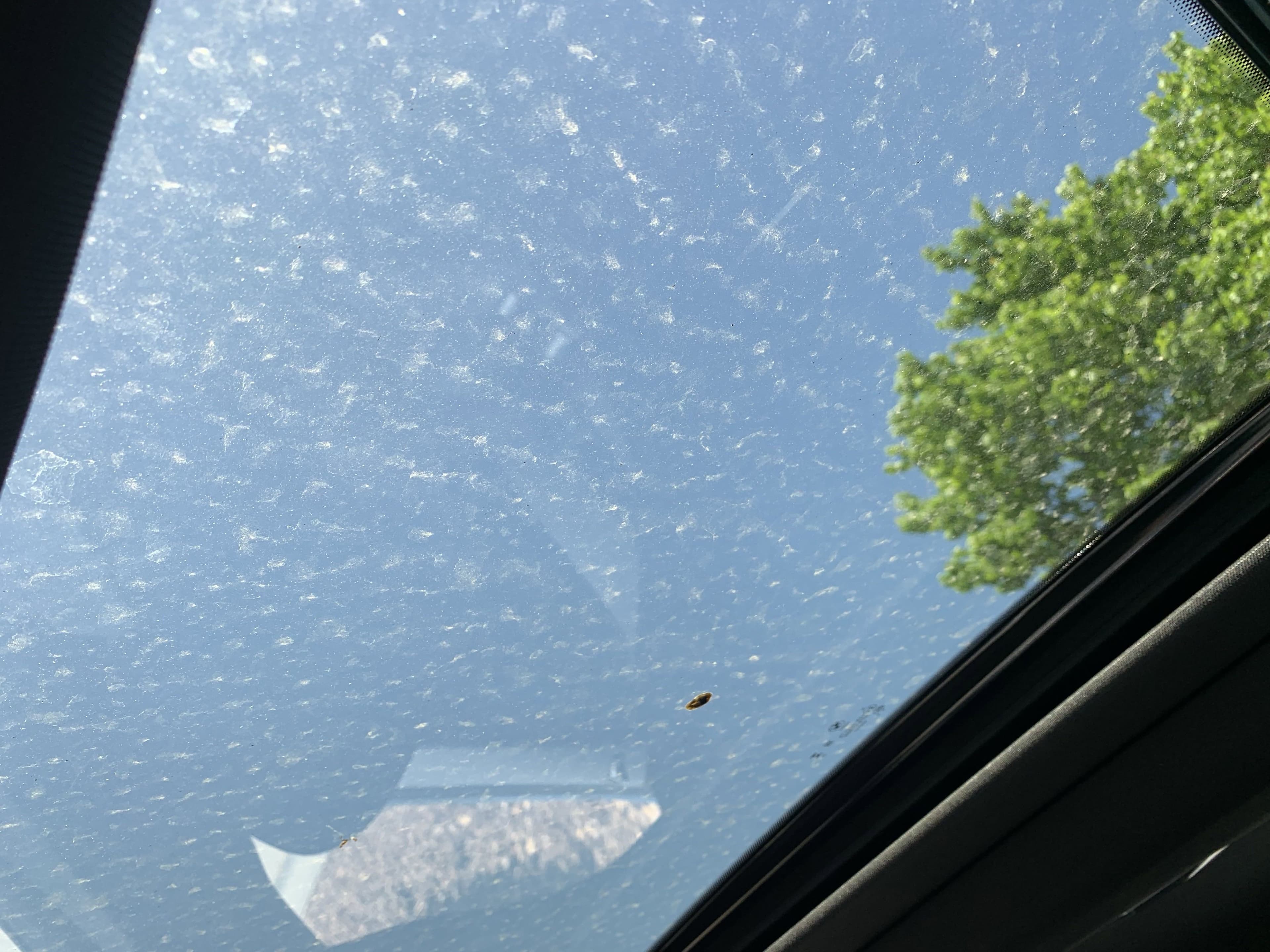 Vehicle photo 28